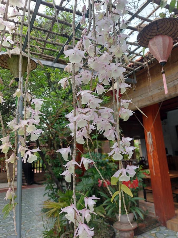 Trang An Family Homestay Ninh Binh Esterno foto